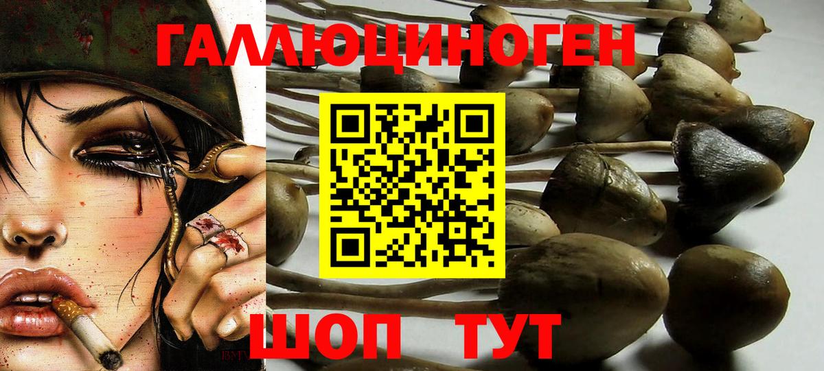 Галлюциногенные грибы Magic Shrooms  Вход с VPN  Сибай 