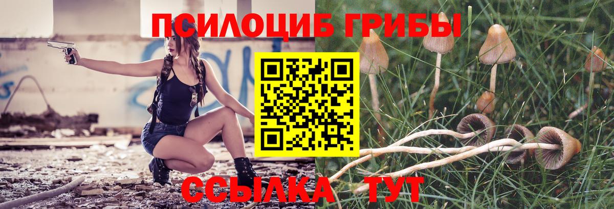 Меф МЯУ МЯУ кристаллы  Бошки Шишки  Сибай  APVP СК кристаллы  Гашиш  COCAIN  Вход с VPN 